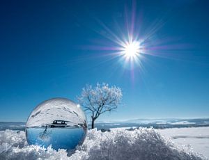 Winterlandschap in een glazen bol van Animaflora PicsStock