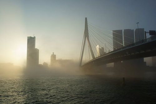 Erasmusbrug in de mist