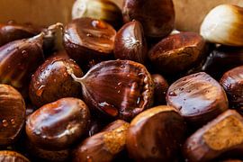 Kastanjes sur Hanne Berden