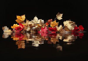 Laubblätter in Herbstfarben