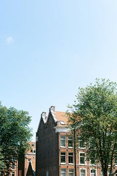 Amsterdams stadsgezicht II van Suzanne Spijkers