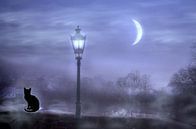 Die Katze im Mondlicht von Vera Laake Miniaturansicht