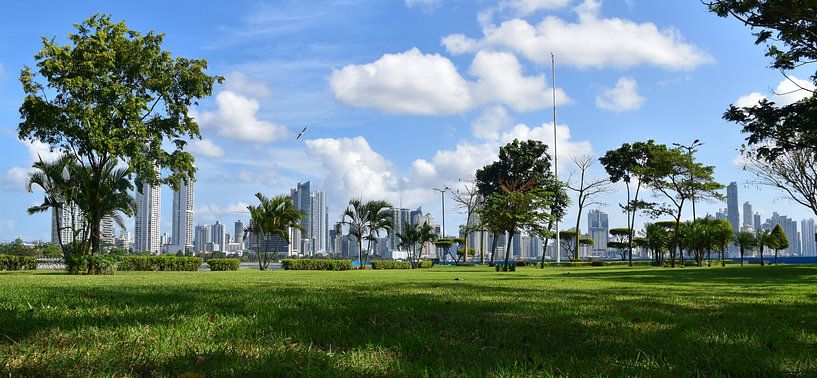 View of the city from Bandera Park by Claude Laprise