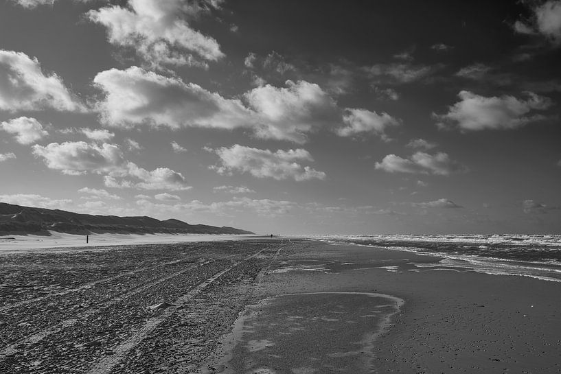 Die Küste von Texel in schwarz-weiß von Lisanne Storm
