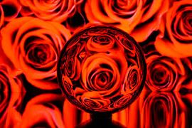 Lensball Fantasy Rote Rose 003 von De FotoBakker
