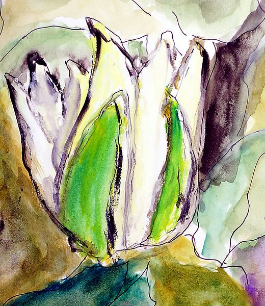 Pond rose by Kay Weber