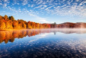 Herfst van Frank Peters