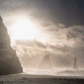 La plage noire de Reynisfjara en Islande. sur Danny Leij