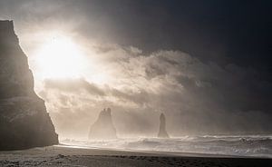 Der schwarze Strand von Reynisfjara in Island. von Danny Leij