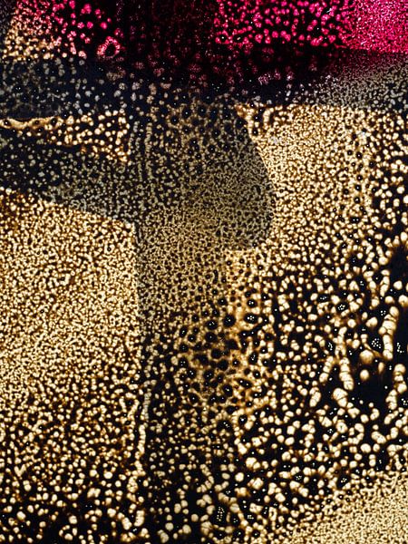 Graffitis par Marco de Waal