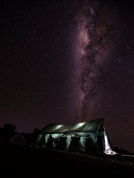 De Melkweg boven Kilimanjaro van Ronne Vinkx