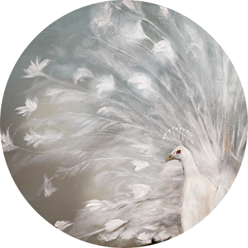 witte pauw ( white peacock) van Els Fonteine