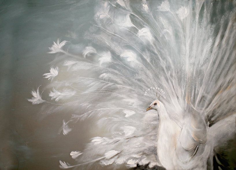 white peacock by Els Fonteine