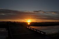 ochtendglorie polder