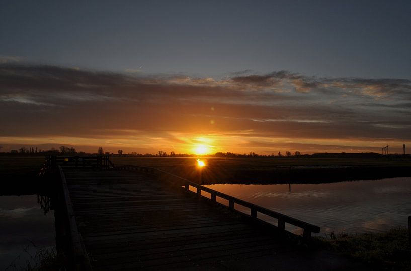 morning glory polder by sofie van den Nouland