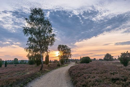 Wege von Dieter Rabenstein