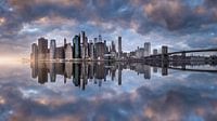 NY NY