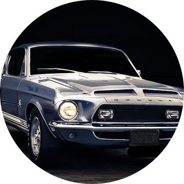 Mustang Shelby van marco de Jonge