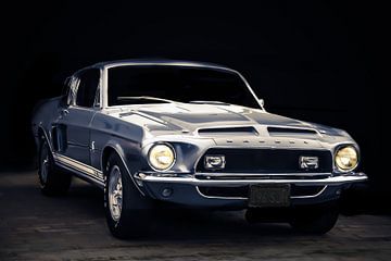 Mustang Shelby sur marco de Jonge