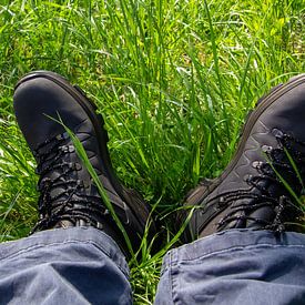 Ein ganz normaler Tag im Büro. von AdWF