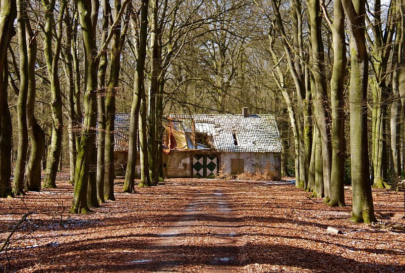 Vervallen huis in het Deelerwoud von ArtelierGerdah