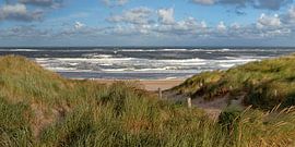 Beach entrance Texel