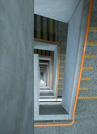 Erasmus van Suzan Zanders