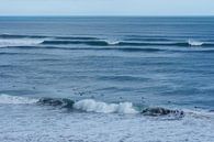 Nouvelle-Zélande - Surfeurs par Maurice Weststrate Aperçu