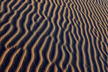 Schiermonnikoog - Zandpatronen in de gouden avondzon van Dan Photo Shaman