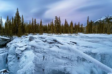 athabasca falls von Luc Buthker