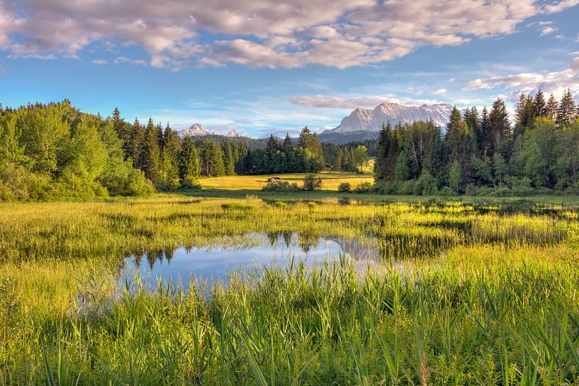 Tennsee near Krün in the Karwendel Mountains (Bavaria) by ManfredFotos