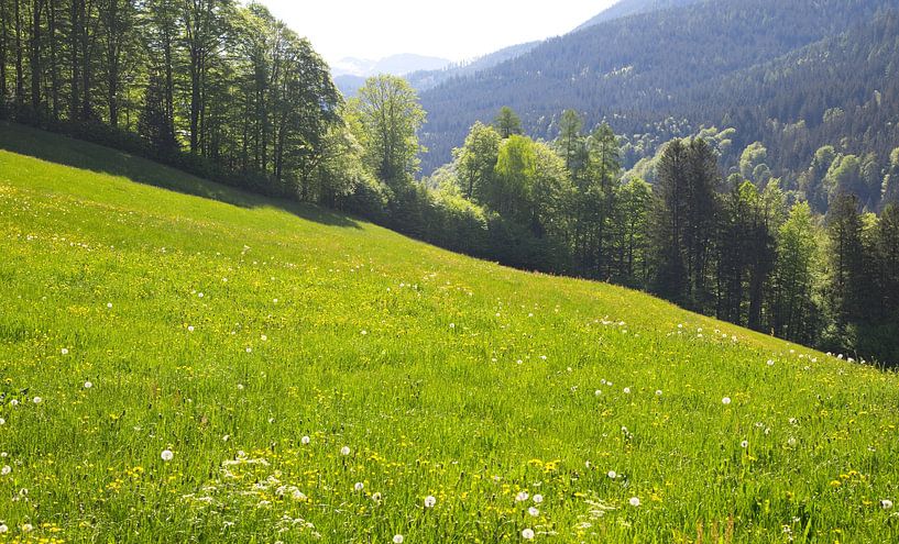 Alpenlandschap van Bo Valentino