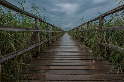 Federseesteg nach dem Regen