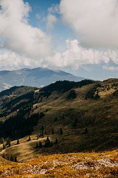 Blick über den Berg in Zell am See, Österreich (Alpen) von Yvette Baur