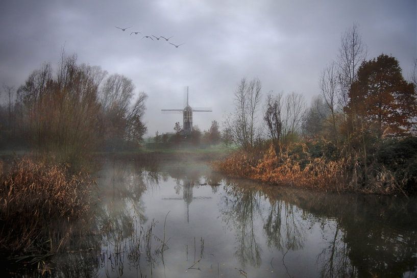 A misty landscape in Flanders by Maickel Dedeken