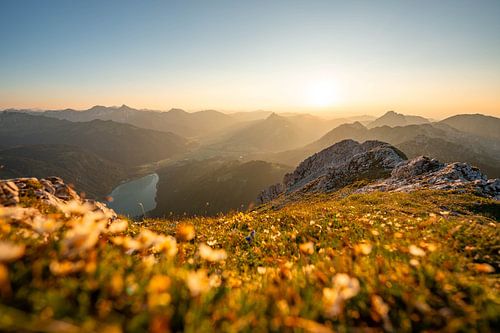bloemrijk uitzicht op de Tannheim & Allgäuer Alpen bij zonsondergang