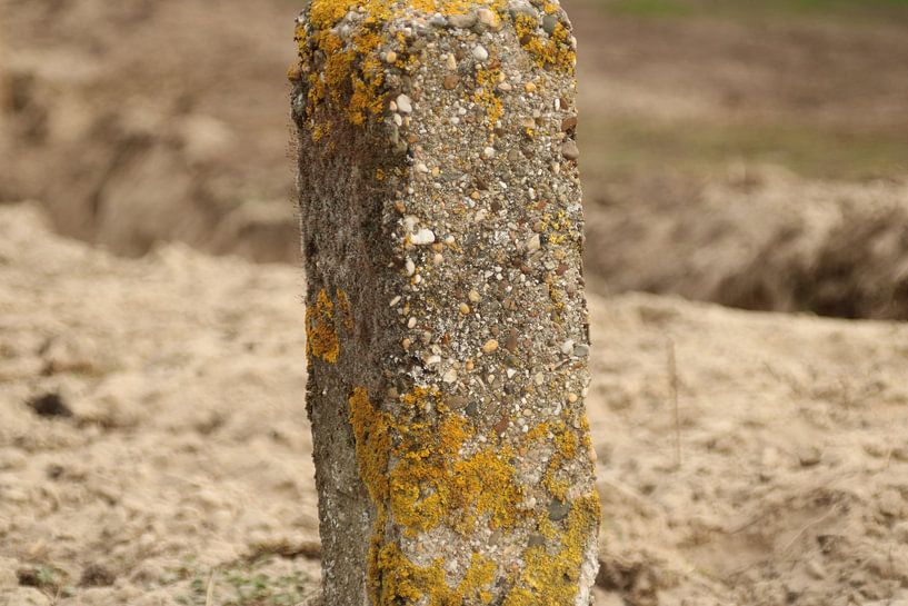 Betonnen Paal van Niels Langerak