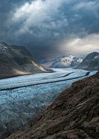 Der Große Aletschgletscher in der Schweiz