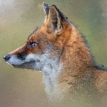 Beautiful portrait of a fox in nature. Like a painting due to the applied oil paint effect. by Gianni Argese