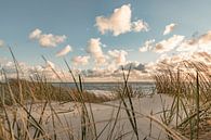 Vue à travers les dunes par Annett Mirsberger Aperçu