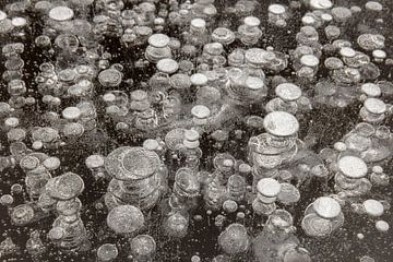 Air bubbles in the ice.
