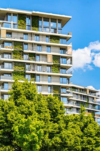 Groene gevel Erfurt - architectuur en natuur
