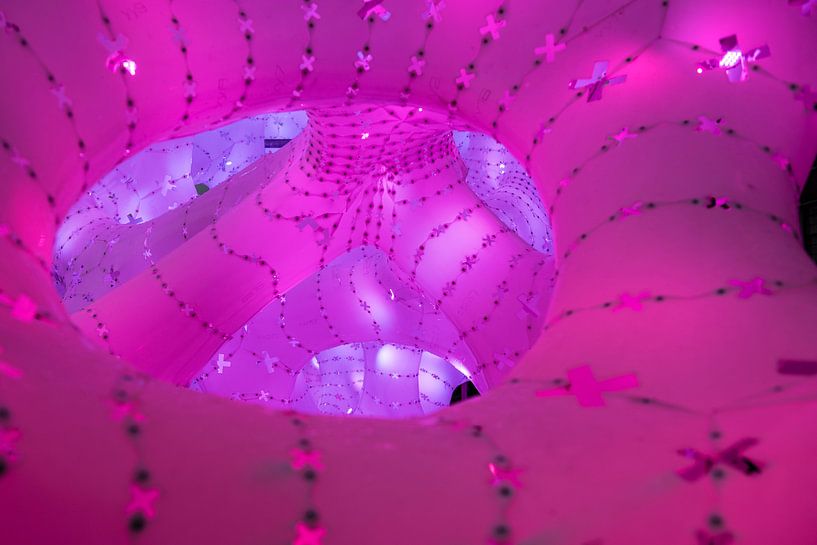 Roze von Wendy van Kuler Fotografie