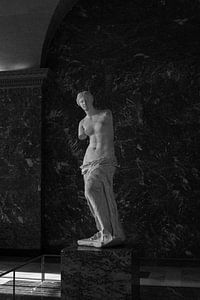 Venus de Milo Louvre | Paris | France Travel Photography by Dohi Media