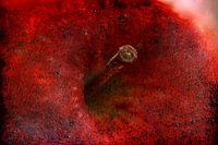 Rode appel in close up