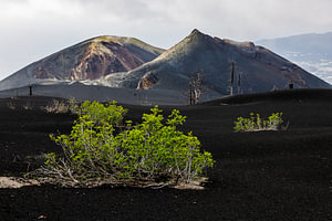 Vulkan Tajogaite auf La Palma