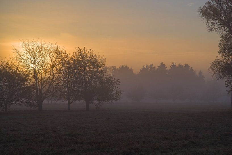 Sonnenaufgang von Thomas Riess