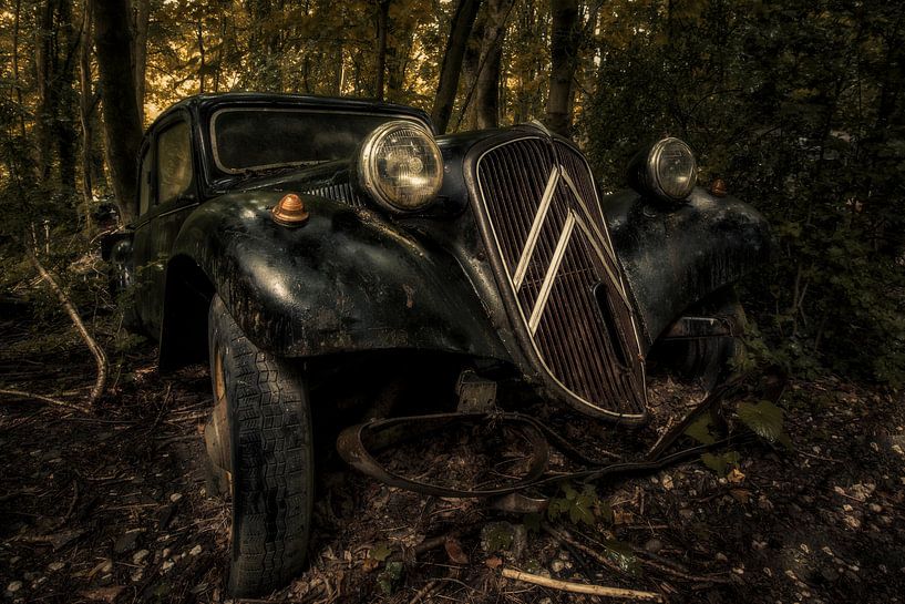 Spirit of the Forest von Dennis van Dijk