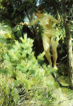 Anders Leonard Zorn,Houtsprite