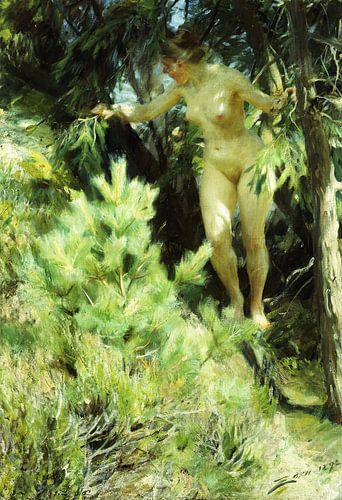Anders Leonard Zorn,Houtsprite